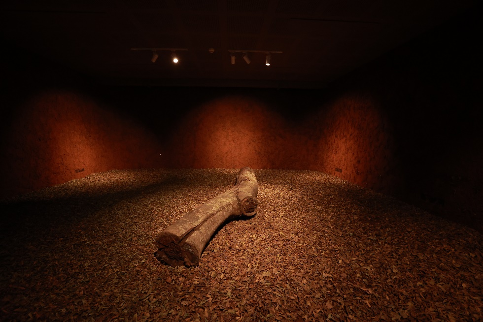 “Ygapó – Terra Firme”, de Denilson Baniwa, é uma das exposições abertas junto à inauguração do Museu das Culturas Indígenas. Foto: Maurício Burim